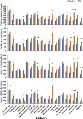 Silicon Application Differentially Modulates Root Morphology and Expression of PIN and YUCCA Family Genes in Soybean (Glycine max L.)